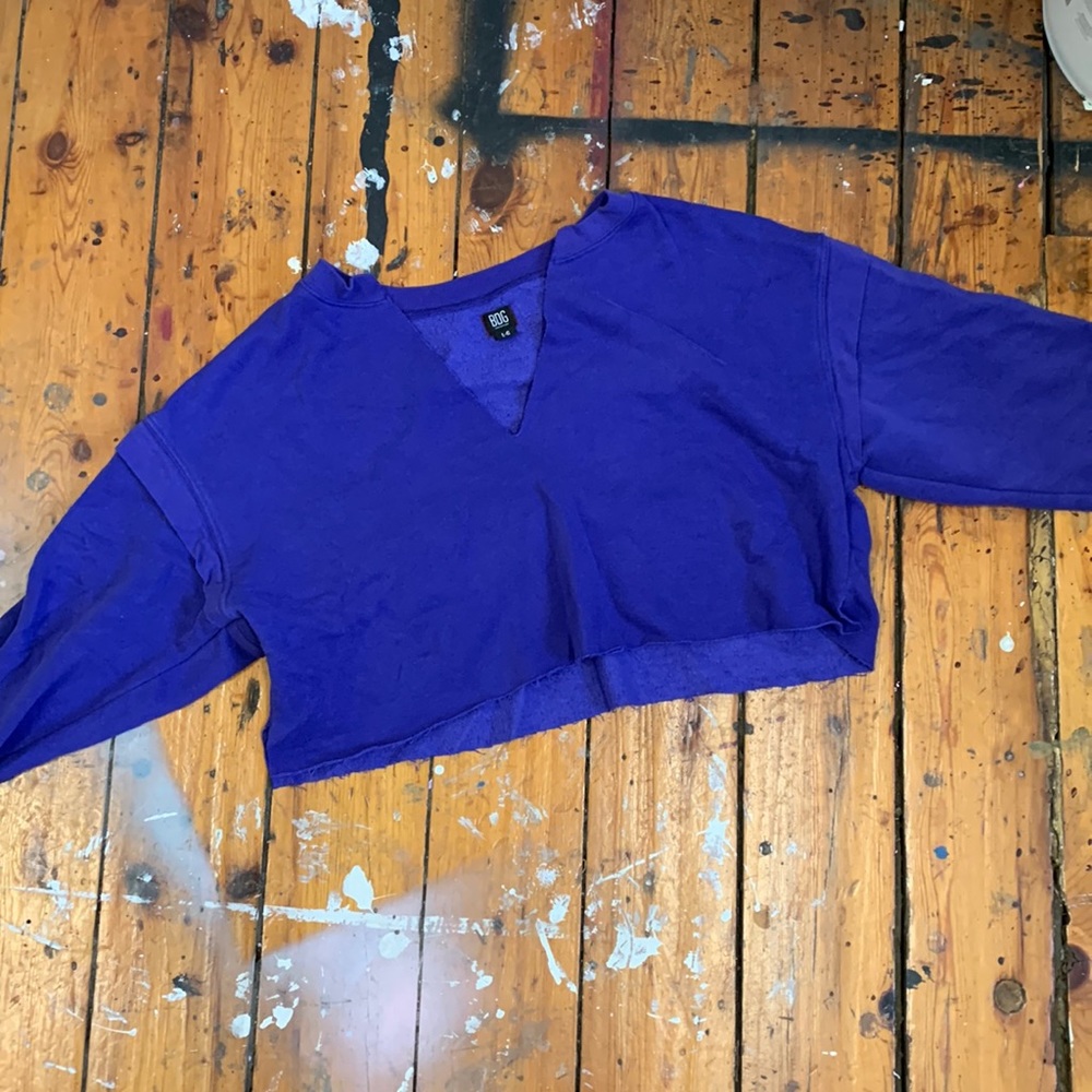 BDG cropped sweater